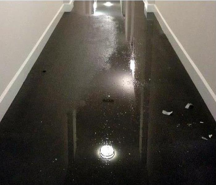 Wet carpet on hallway. Standing water from floodwaters