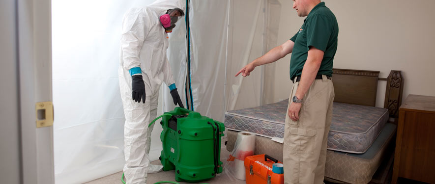 Grand Junction, CO mold removal process